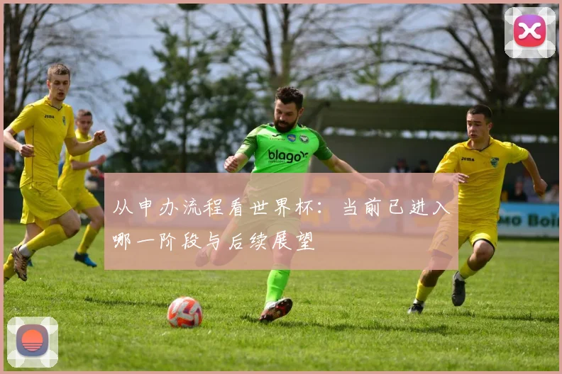 从申办流程看世界杯：当前已进入哪一阶段与后续展望